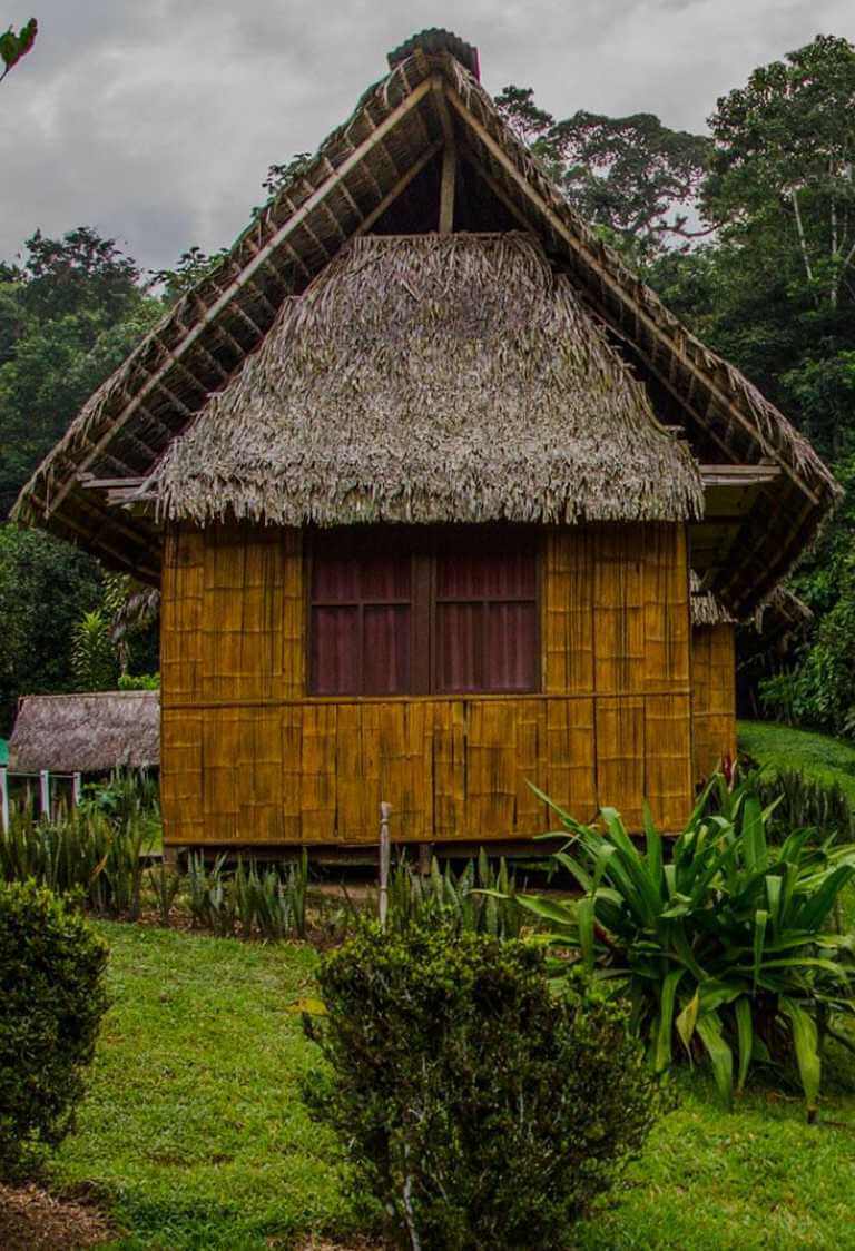 Amazon Yarina Lodge