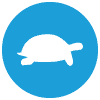 galapagos