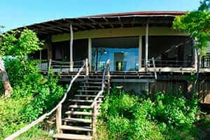 baby galapgos giant tortoise at charles darwin station