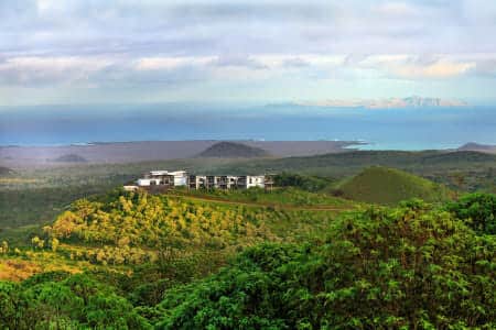 baby galapgos giant tortoise at charles darwin station